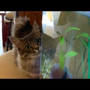 Meet your Posher, Jan